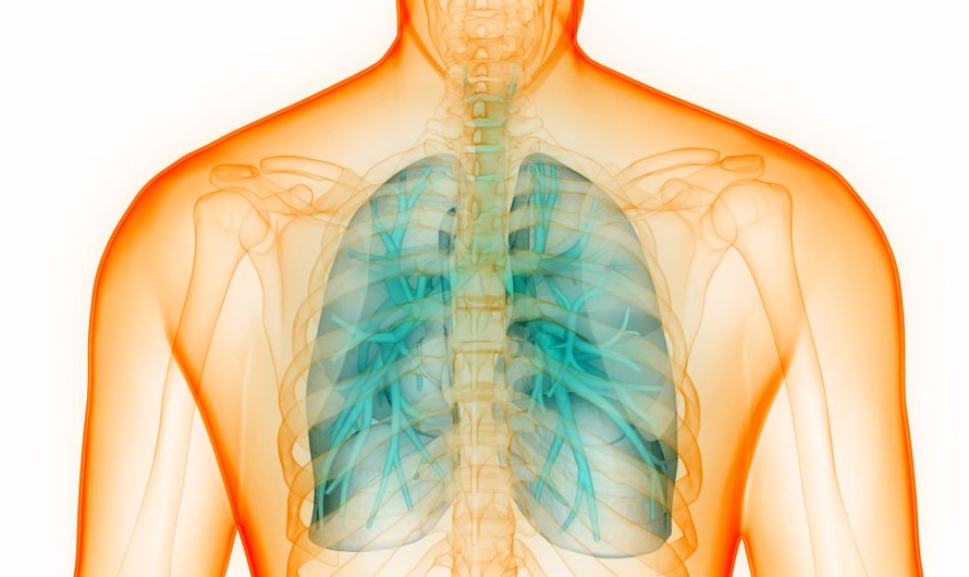 Future Prospects of the Alpha 1 Lung Disease Market: Growing Awareness and Technological Advancements to Drive Market Growth