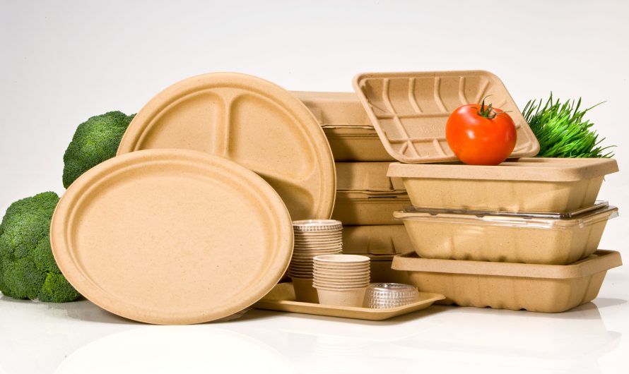 Future Prospects of the Biodegradable Packaging Market