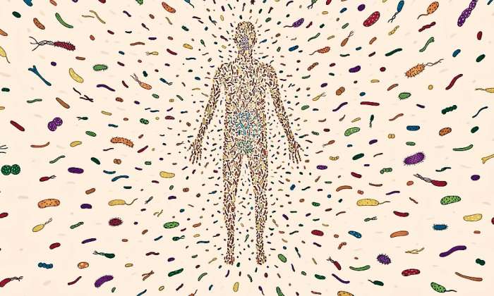 Human Microbiome Market: Growing Demand for Microbiome-based Therapeutics and Diagnostics