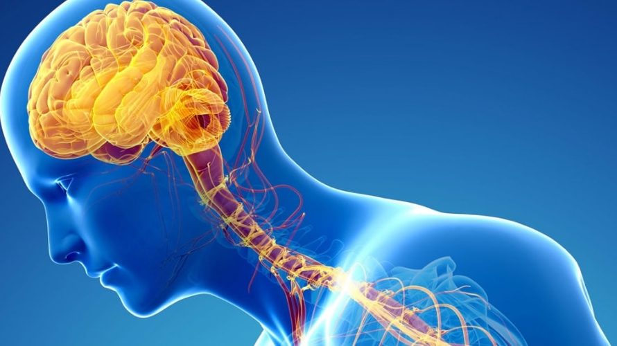 Global Neuroregeneration Therapy Market Is Estimated To Witness High Growth Owing To Advances in Stem Cell Research and Increasing Prevalence of Neurological Disorders