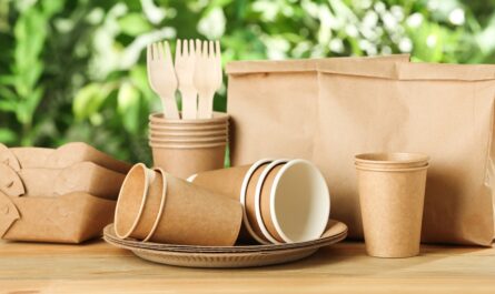 Biodegradable Packaging Market
