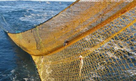 Trawl Ropes And Nets Market