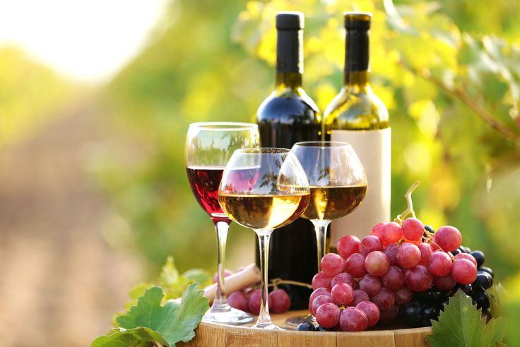 Wine Market: Growing Consumption of Wine to Drive Market Growth