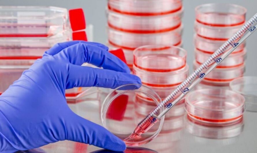 AI Applications Projected To Boost The Growth Of Cell Culture Market
