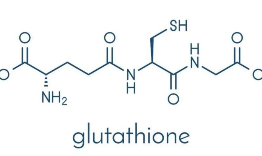 The Increasing Demand For Nutraceuticals And Functional Foods Is Anticipated To Openup The New Avanue For Glutathione Market