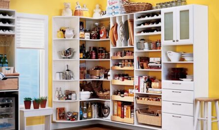 Kitchen Storage Organization Market
