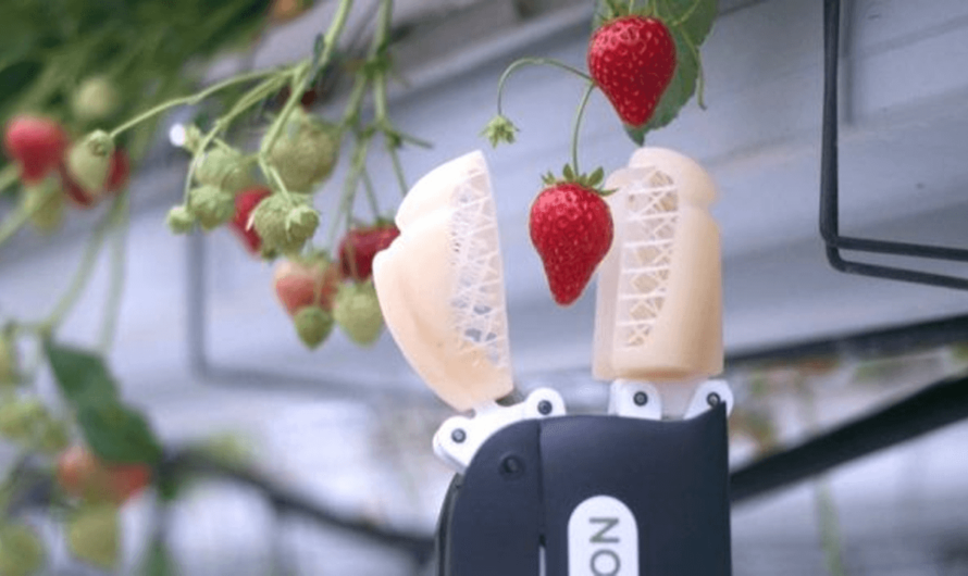 Fruit Picking Robots Market Is Estimated To Witness High Growth Owing To Increasing Demand For Automation In Agriculture
