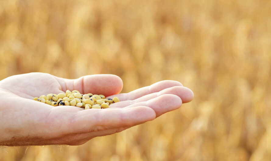 Seed Treatment Segment is the largest segment driving the growth of Seed Treatment Market