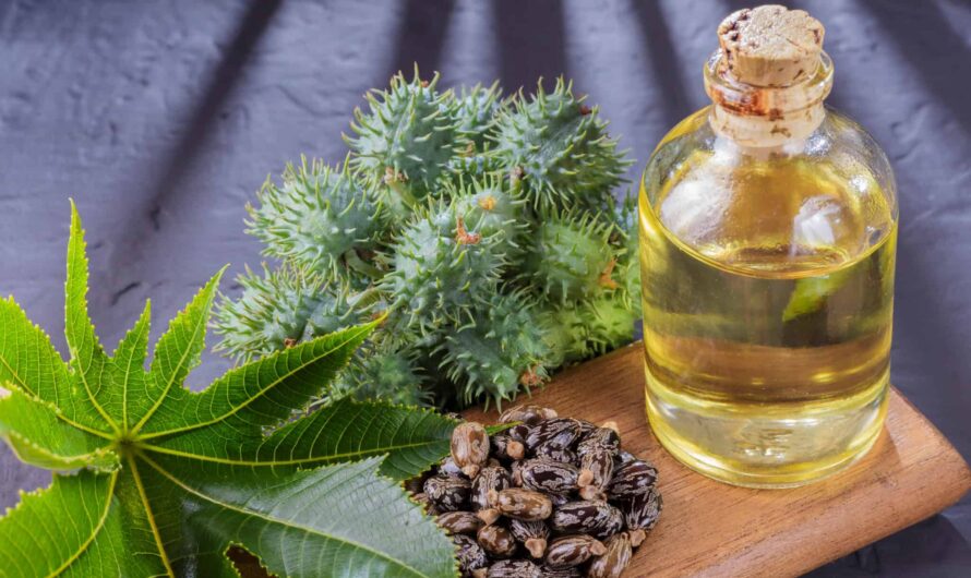 Castor Oil Derivatives Market Is Expected To Propelled By Growing Applications In Industries.