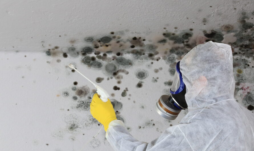 Mold Remediation Service Market Exhibits Strong Growth Is Propelled By High Demand For Indoor Air Quality