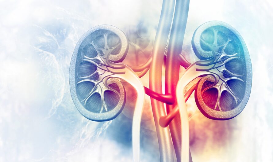 The Global Renal Biomarkers Market Is Estimated To Propelled By Increased Use In Diagnosing Kidney Diseases