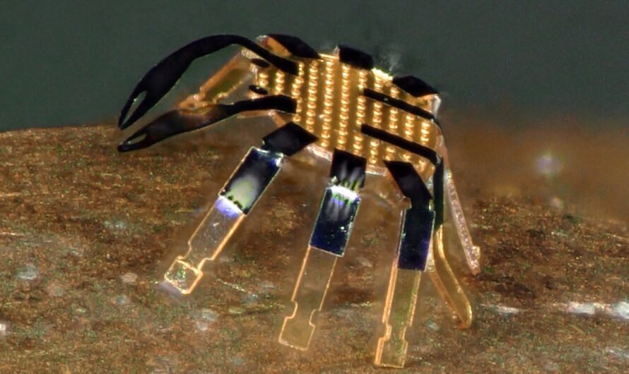 Smallest, Lightest, and Fastest Mini-Robots Modeled on Insects Developed by Washington State University