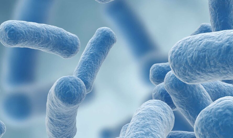 Next Generation Probiotics Market estimated to reach US$ 25 billion by 2030 due to rising digestive health issues