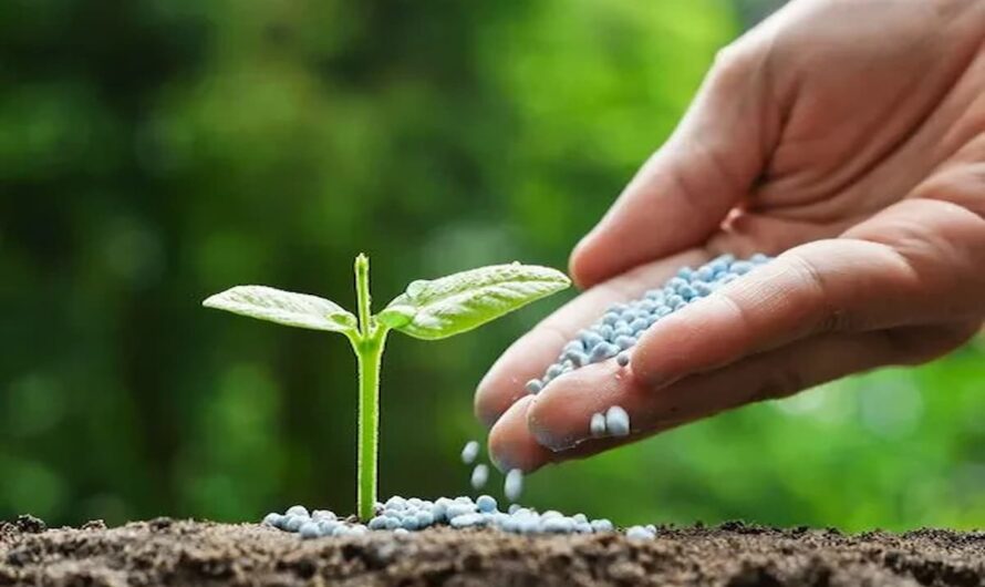 The Global Biofertilizers Market growth is driven Agricultural Productivity Uptake