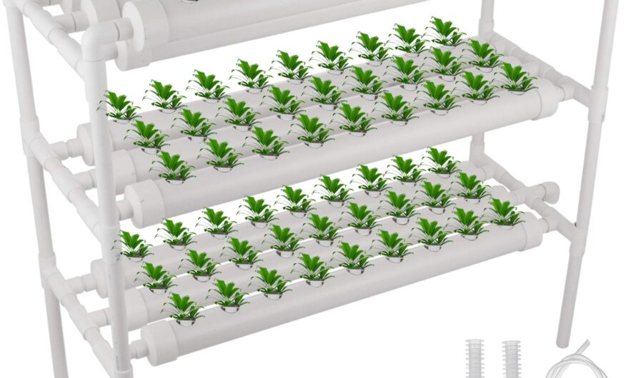 The Global Hydroponics Market Is Poised For Growth Driven By Sustainability Trends