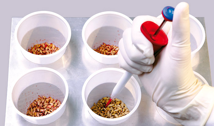 Preserving Potential: Exploring the Benefits of Seed Treatment
