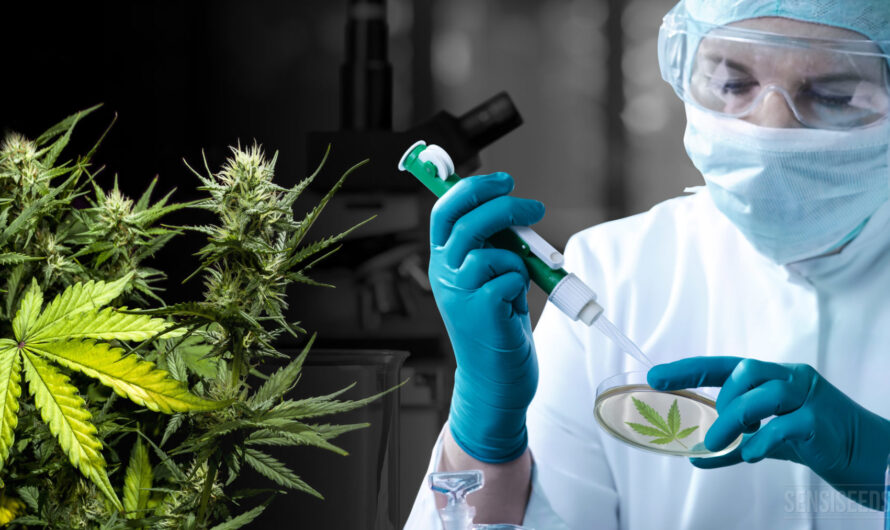The Global Cannabis Testing Services Market is driven by Increasing Legalization of Medical and Recreational Cannabis