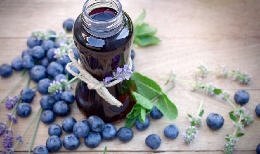 Blue Gold: Navigating Opportunities in the Blueberry Ingredients Industry
