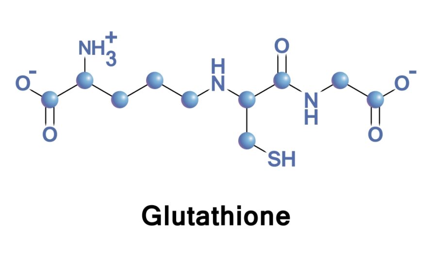 Glutathione Market is in Trends by Increasing Demand for Nutraceuticals and Functional Foods