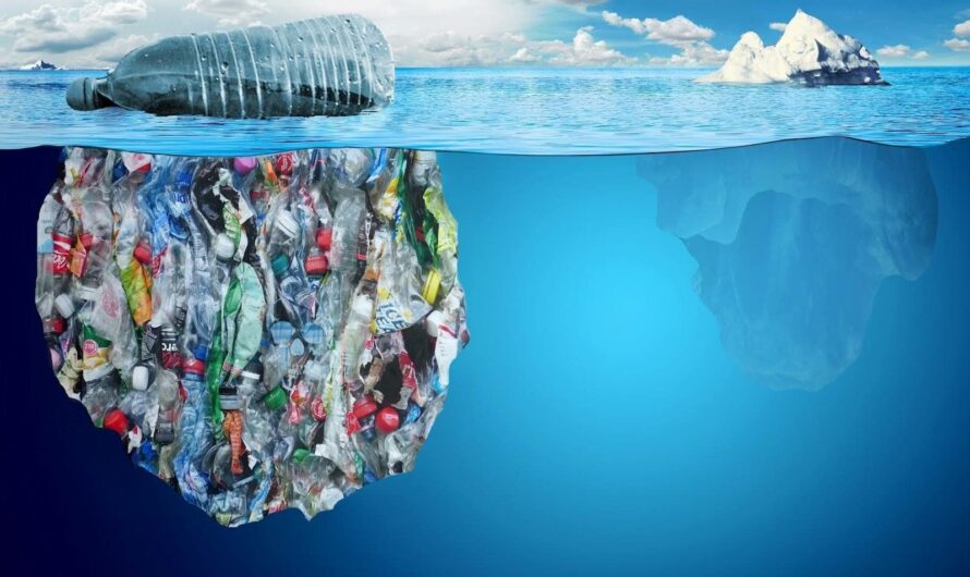 Global Microplastic Recycling Market is Estimated to Witness High Growth Owing to Rising Environmental Concerns