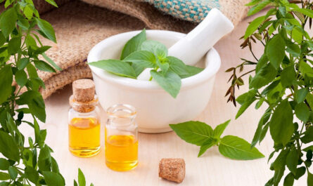 Herbal Extract Market