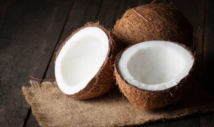 Coconut Wraps Market Primed To Achieve Growth Due To Increasing Adoption Of Plant-Based Food Products